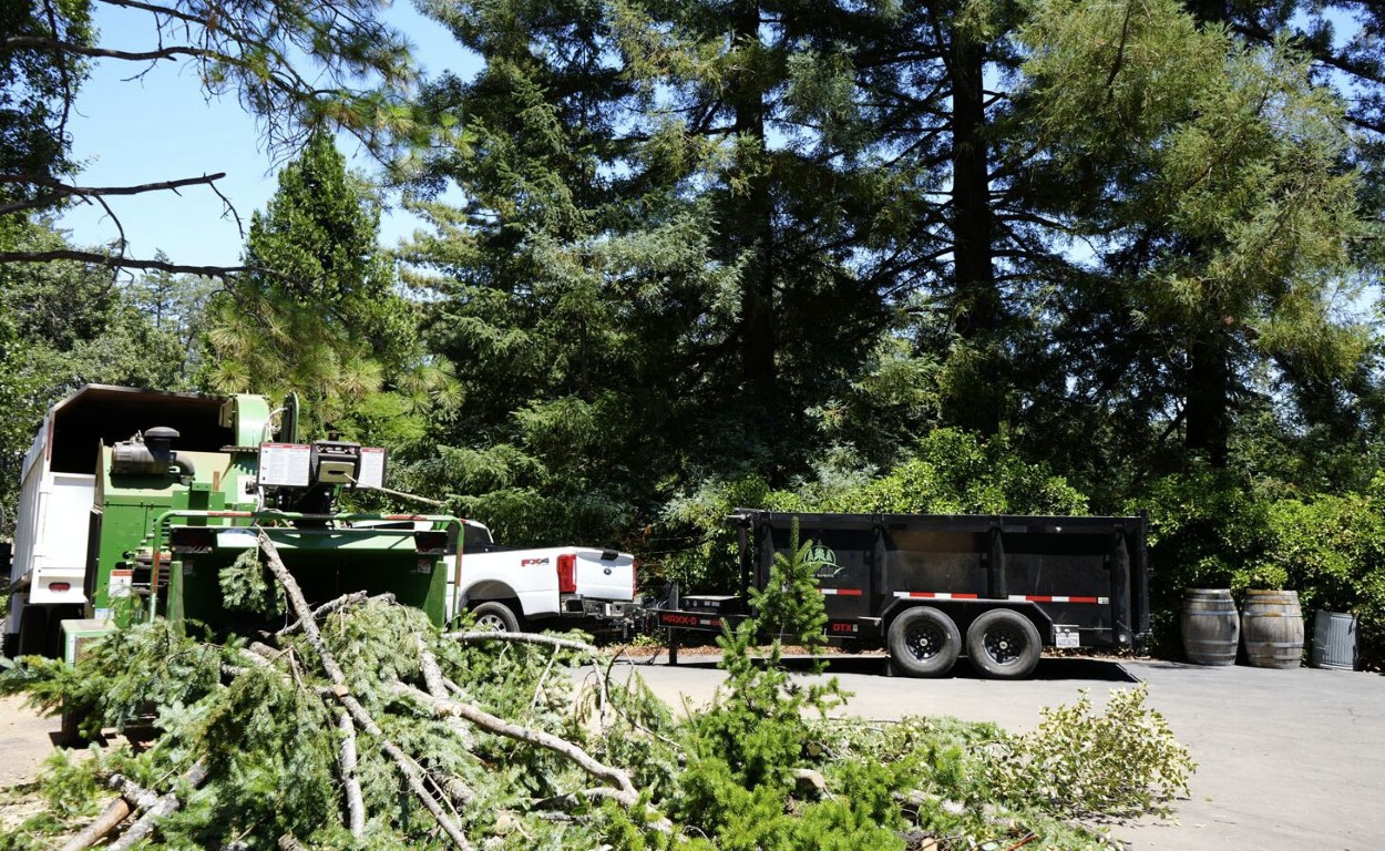 Professional tree service equipment and trucks ready for emergency tree removal